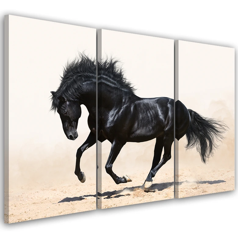 Leinwandbild 3-teilig, Galopp des schwarzen Pferdes 