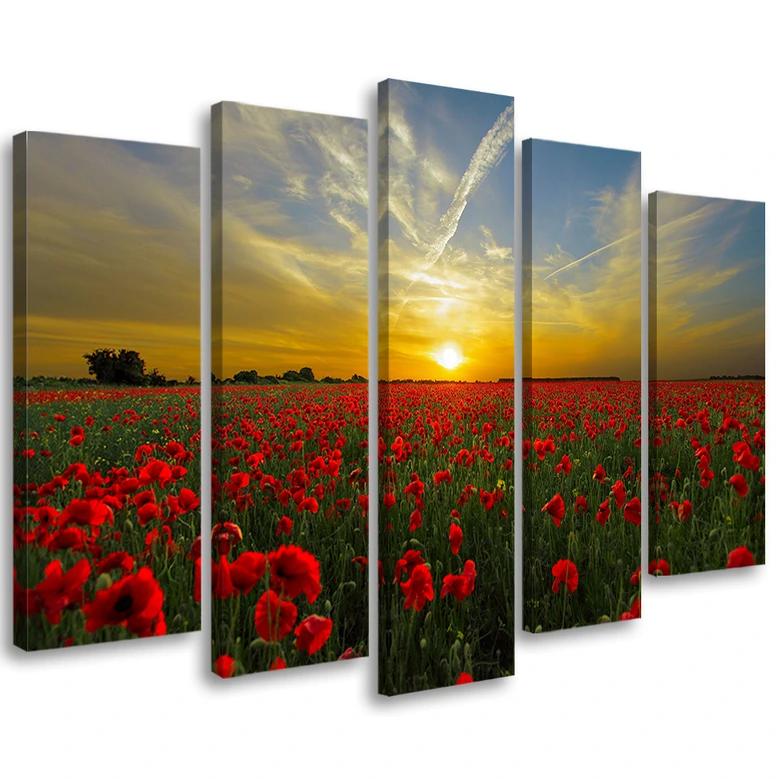 Leinwandbild 5 teilig, Feld Mohn Sonnenuntergang Landschaft 