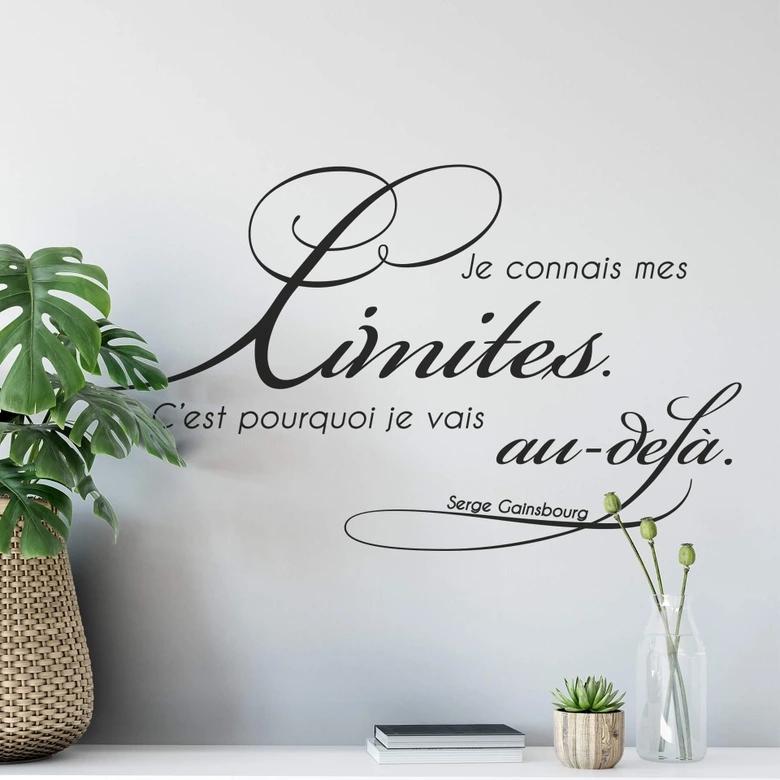 Sticker mural - Je connais mes limites... 