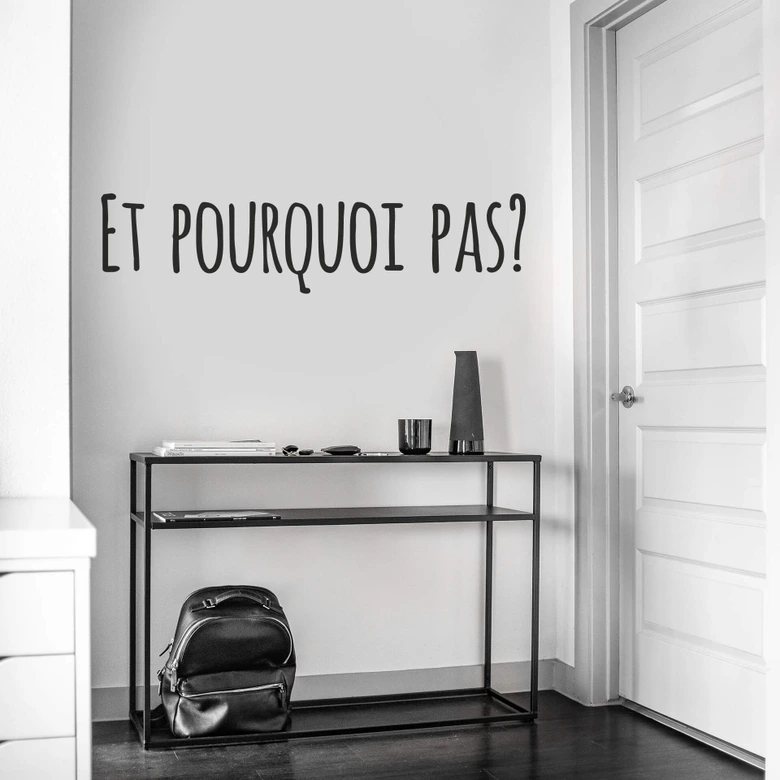 Adesivo murale - Et pourquoi pas? 