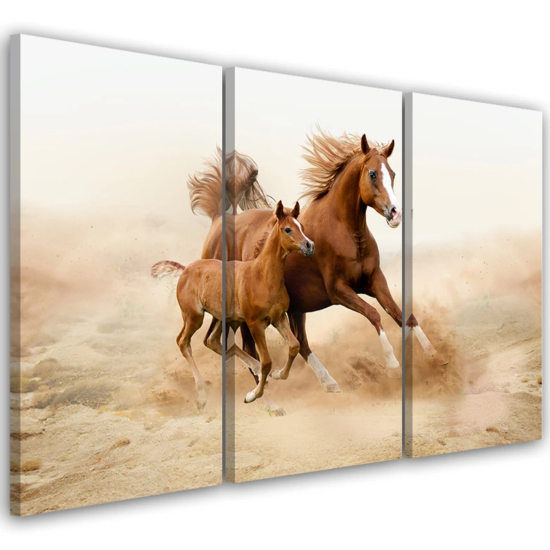Leinwandbild 3-teilig, Vollblüter Natur galoppieren 