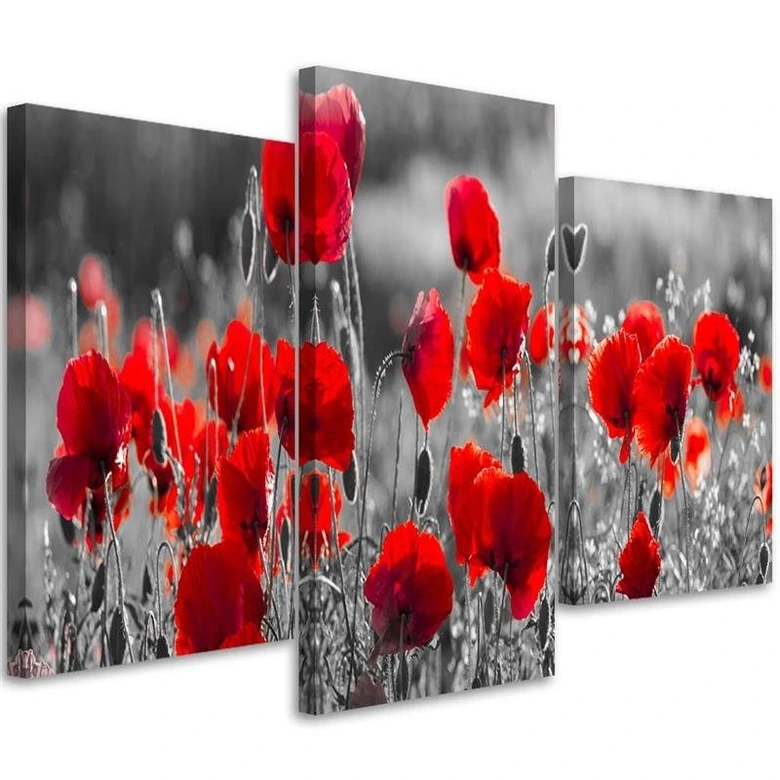 3 stykke lærredstryk, røde valmuer planter 