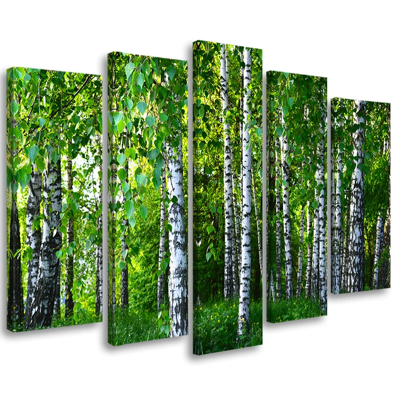 Leinwandbild 5 teilig, Birkenwald Grün 