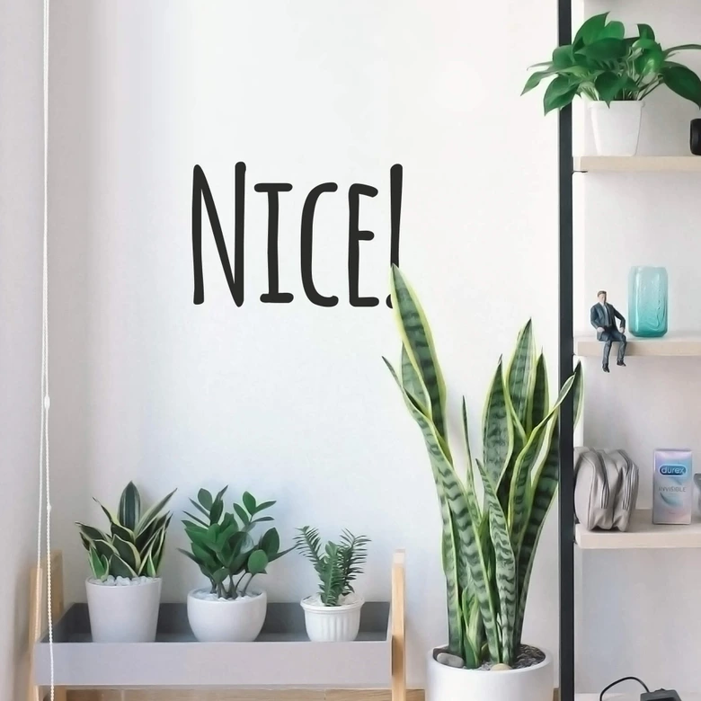 Wallsticker - Nice! 
