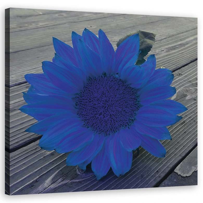 Leinwandbild, Blaue Sonnenblume 