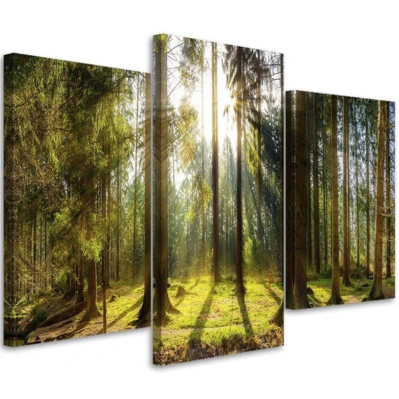 Leinwandbild 3-teilig, Wald Strahlen Baum Natur 