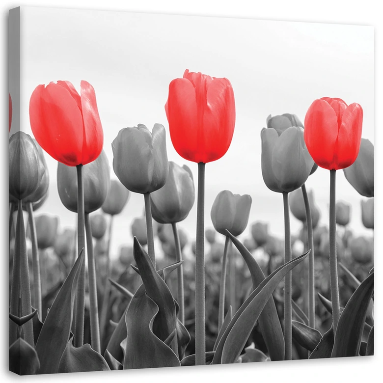 Canvas schilderij, Rode tulpen op een weide 