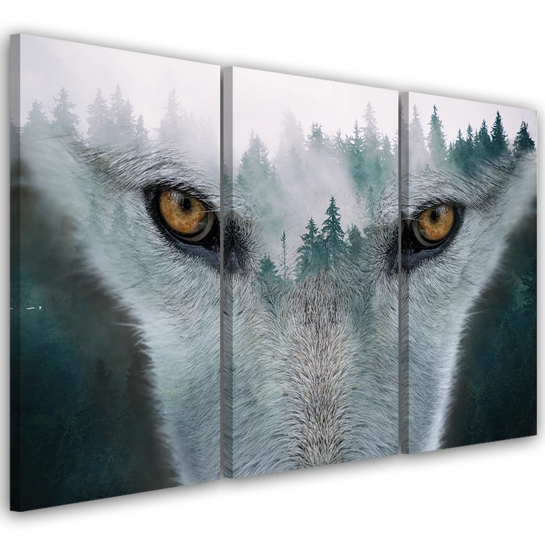 3-delige canvas print, Wolf Bos Mist Natuur Bomen 
