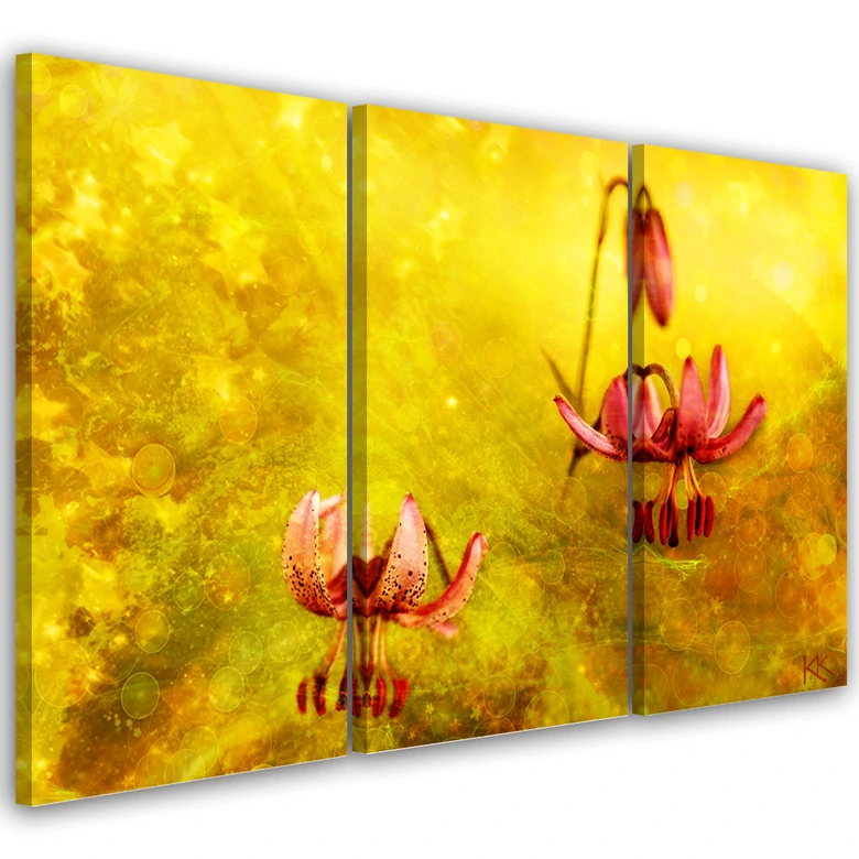 Leinwandbild 3 teilig, Verdosserte Tulpenblüten 