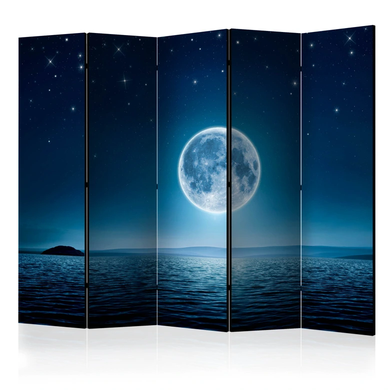 Paravent, Raumteiler freistehend, Trennwand - Moonlit night II, 5-teilig - einseitig bedruckt - 225x172 cm 