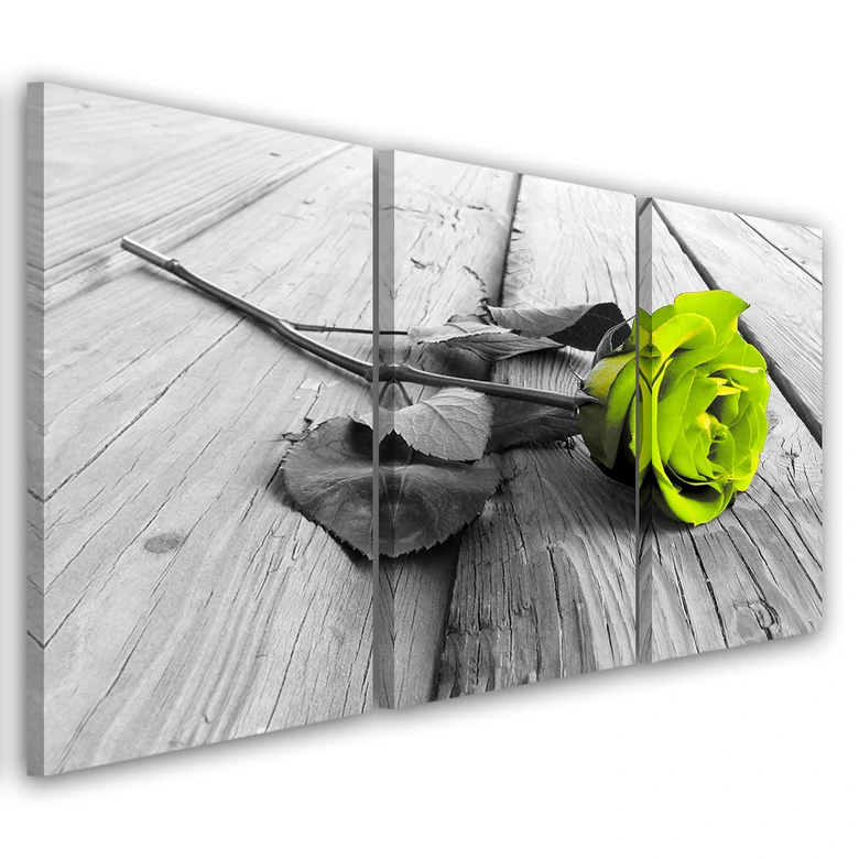 Leinwandbild 3-teilig, Rose Blume grün  