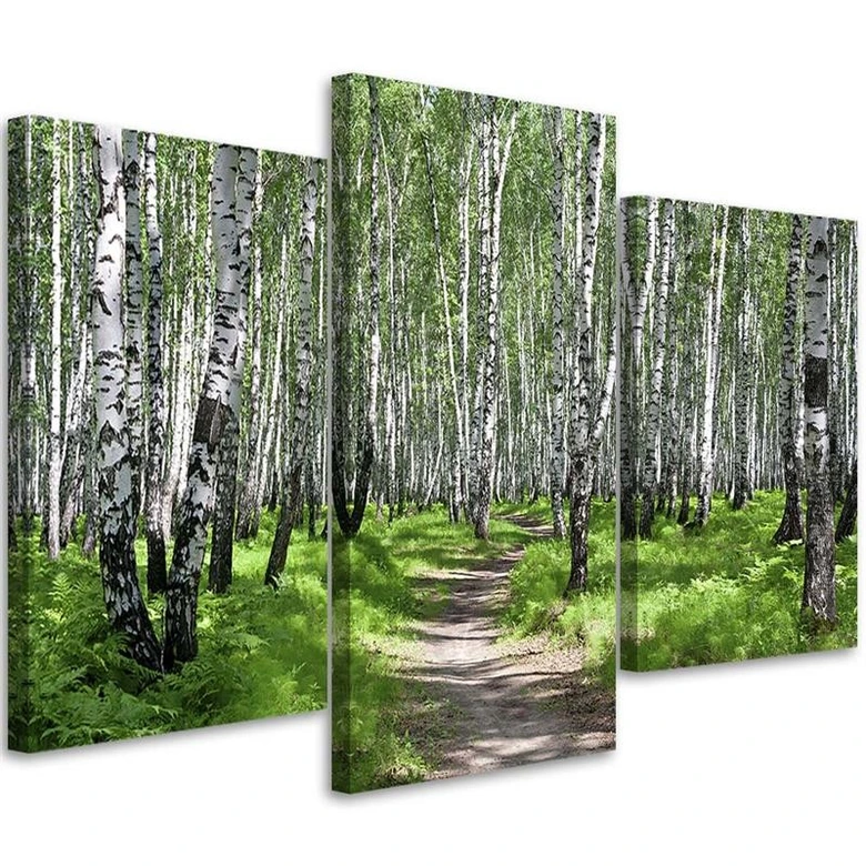 3-delige canvas print, berkenbos natuur 