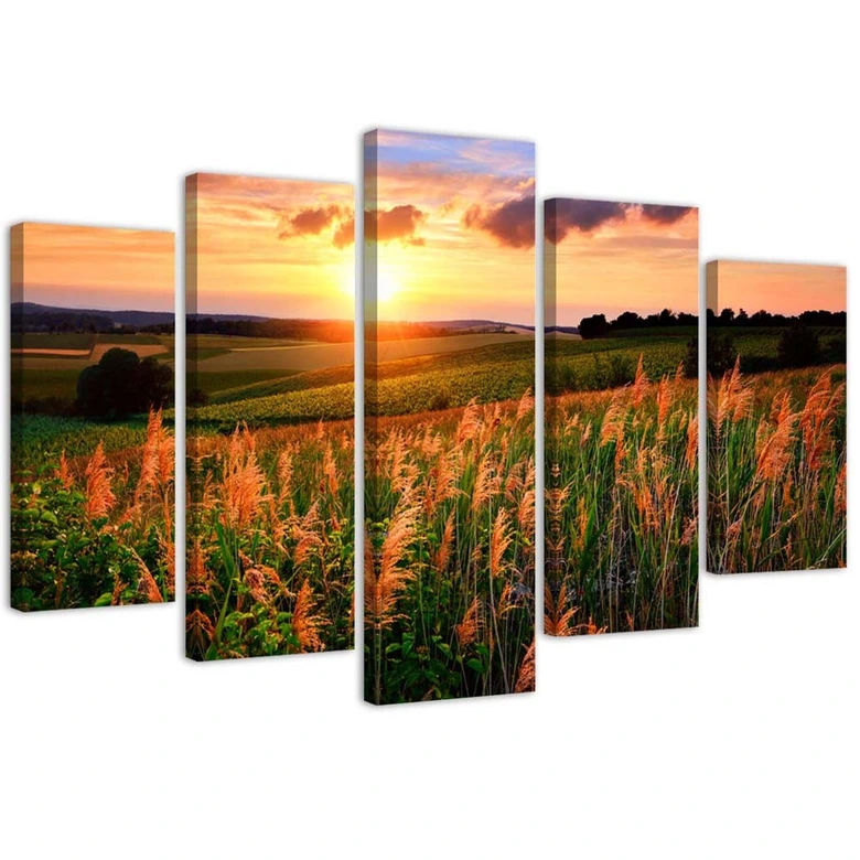 Leinwandbild 5 teilig, Sonnenuntergang Blumen Wiese 