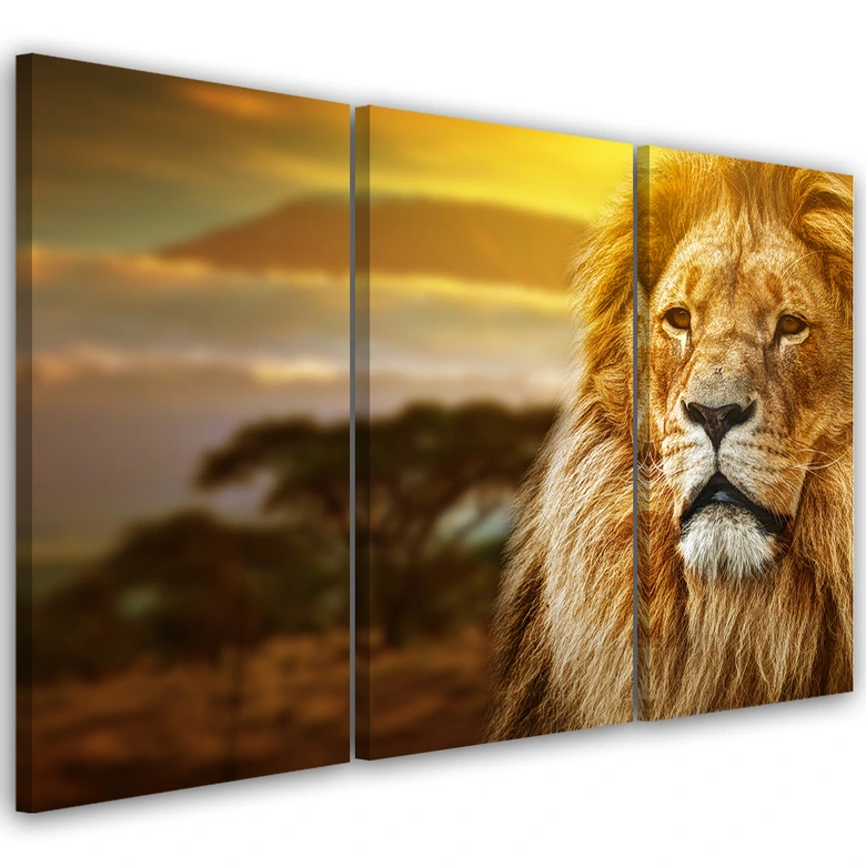 Leinwandbild 3-teilig, Löwe Afrika Savanne Landschaft 