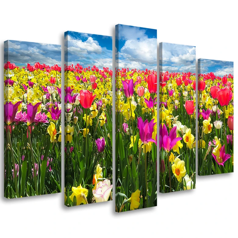 Leinwandbild 5 teilig, Bunte Tulpen Blumen  
