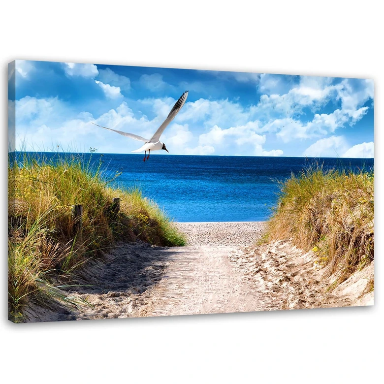 Leinwandbild, Weg zum Strand und eine Möwe 