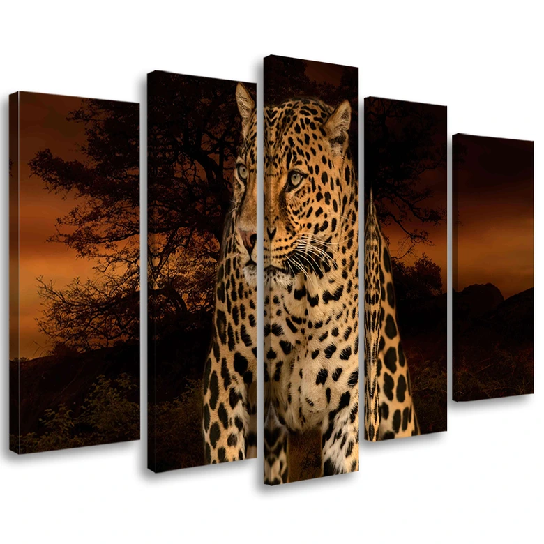 5-delige canvasprint Leopard Panther Cat Safari 