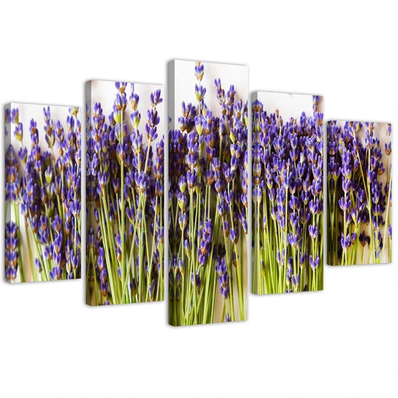 Leinwandbild 5 teilig, Lavendelblüten Natur 
