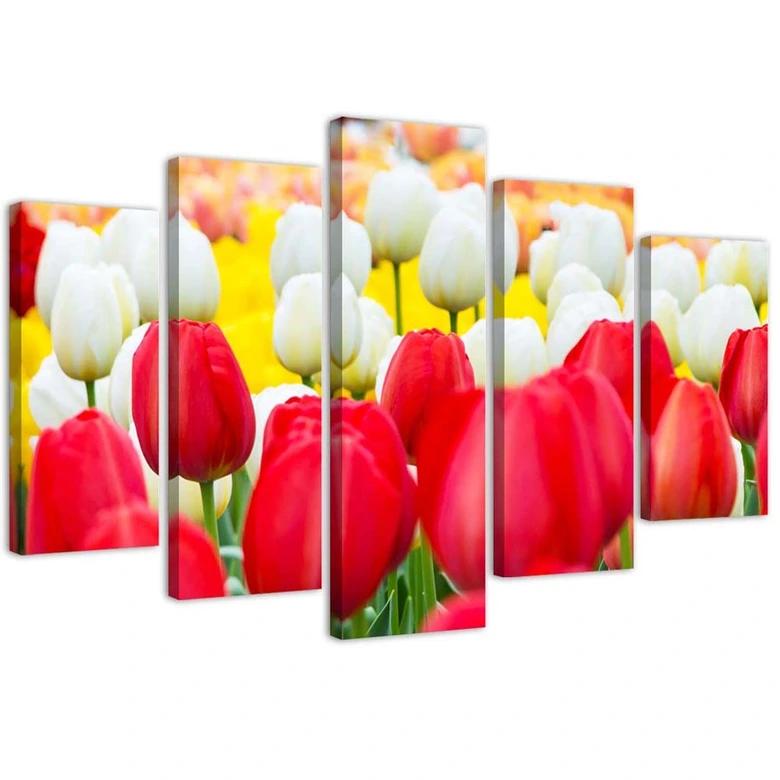 5-delige canvas print tulp rood wit 