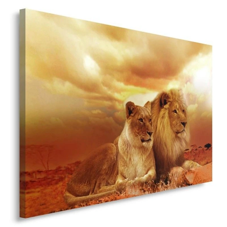 Canvasbillede, Et par løver 