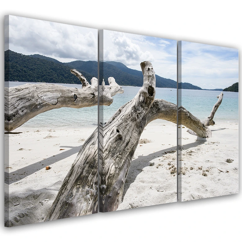 Leinwandbild 3-teilig, Meer Sand Strand Baum 