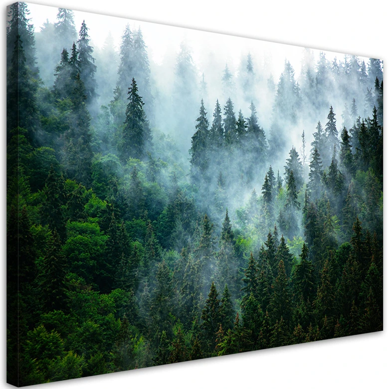 Canvasbillede, Skov i tåge 