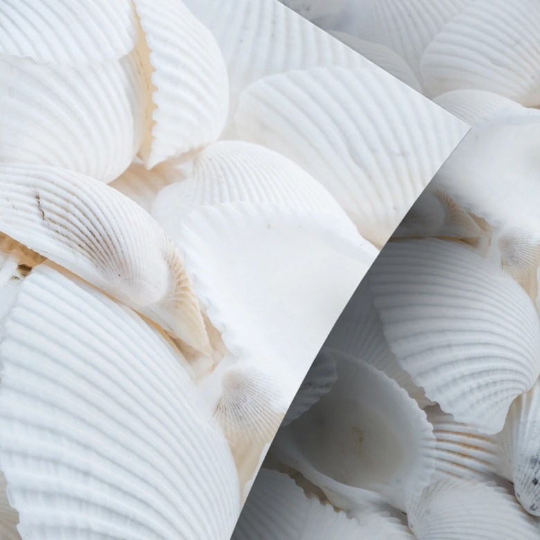 Furniture Wrap - self adhesive - Shells 
