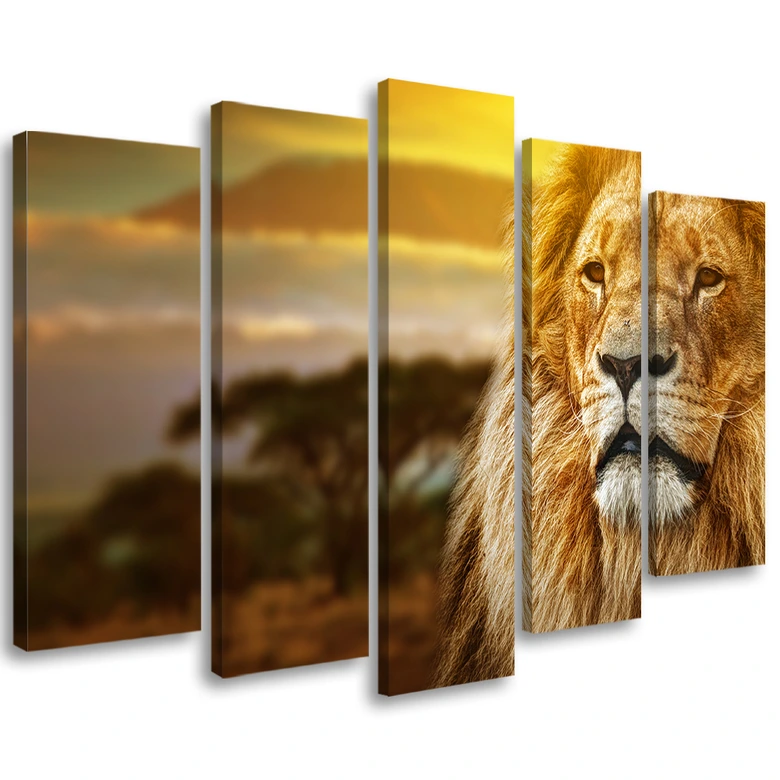 Leinwandbild 5 teilig, Löwe Afrika Savanne Landschaft 