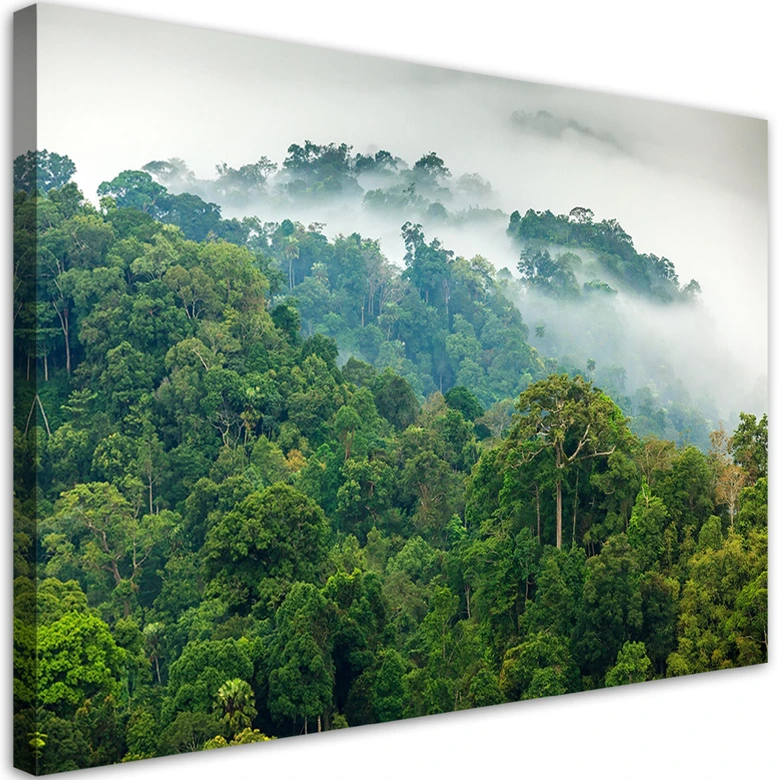Leinwandbild, Wald im Nebel Landschaft 