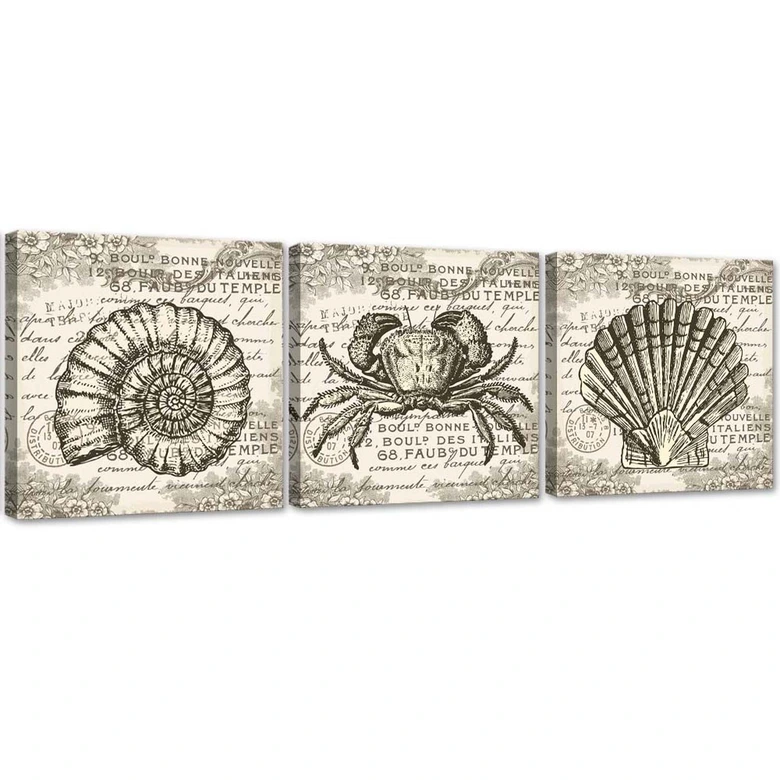 Leinwandbild 3-teilig, Retro-Muscheln 