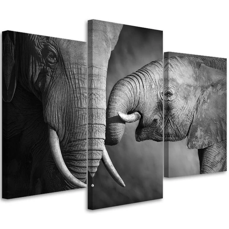 Leinwandbild 3-teilig, Elefant Schwarz und Weiß 