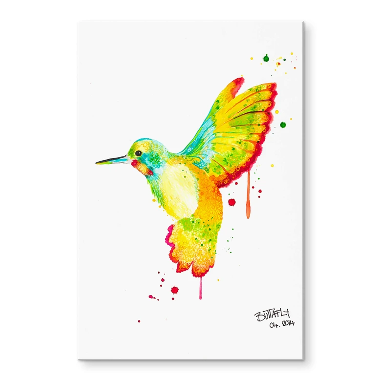 Acrylglasbild Buttafly - Kolibri 