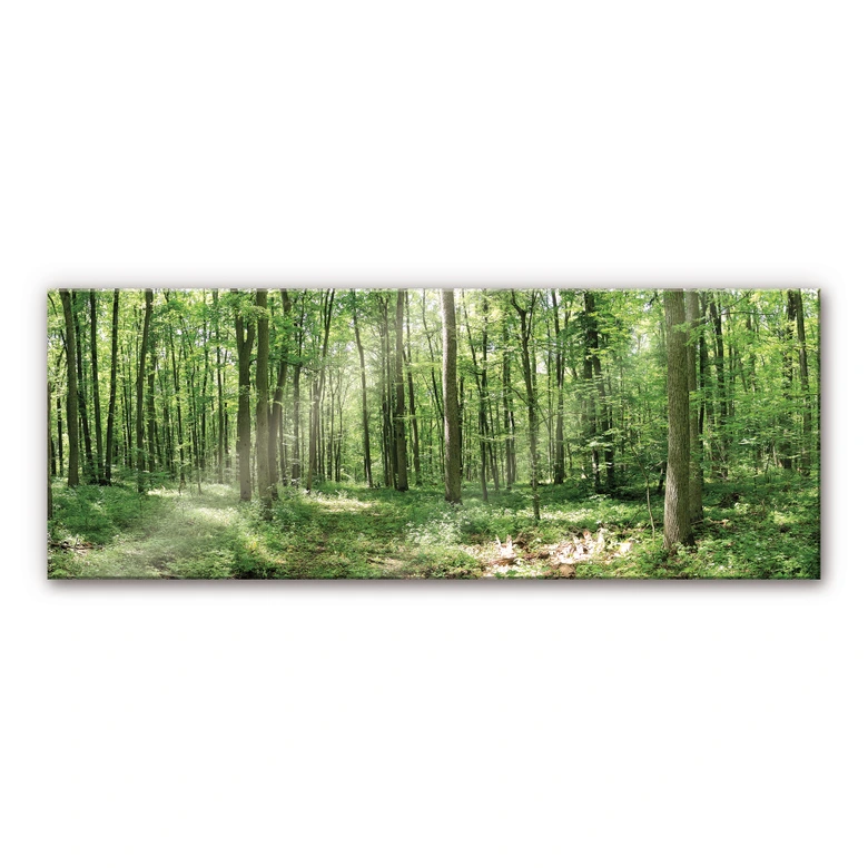 Tableau sur verre acrylique Panorama forêt 02 