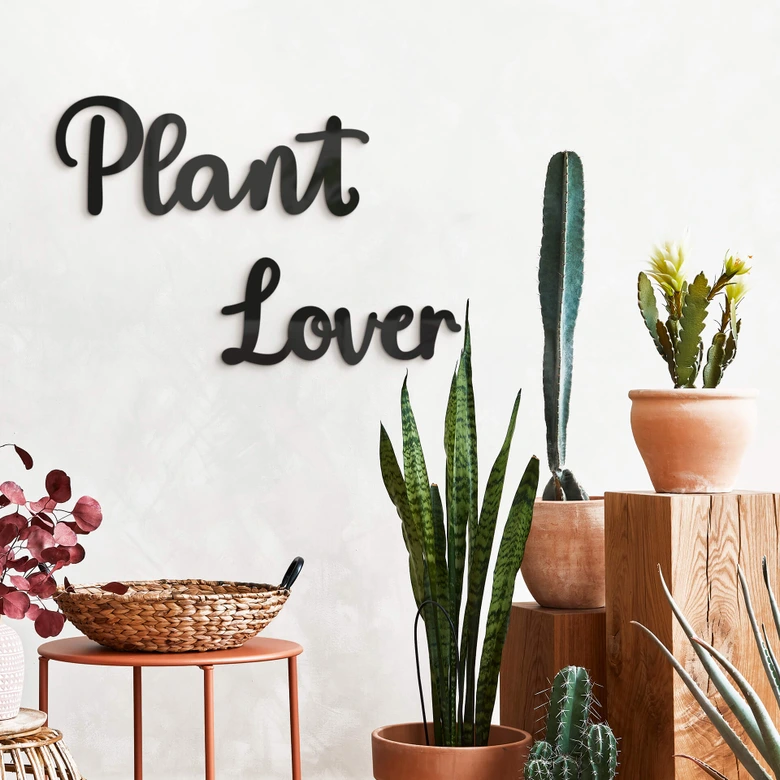 Vægdekoration akrylglas Plant Lover 