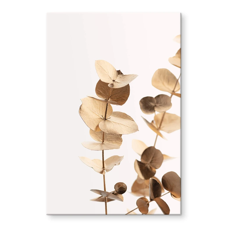 Tableau sur verre acrylique 1X Studio - Eucalyptus doré 