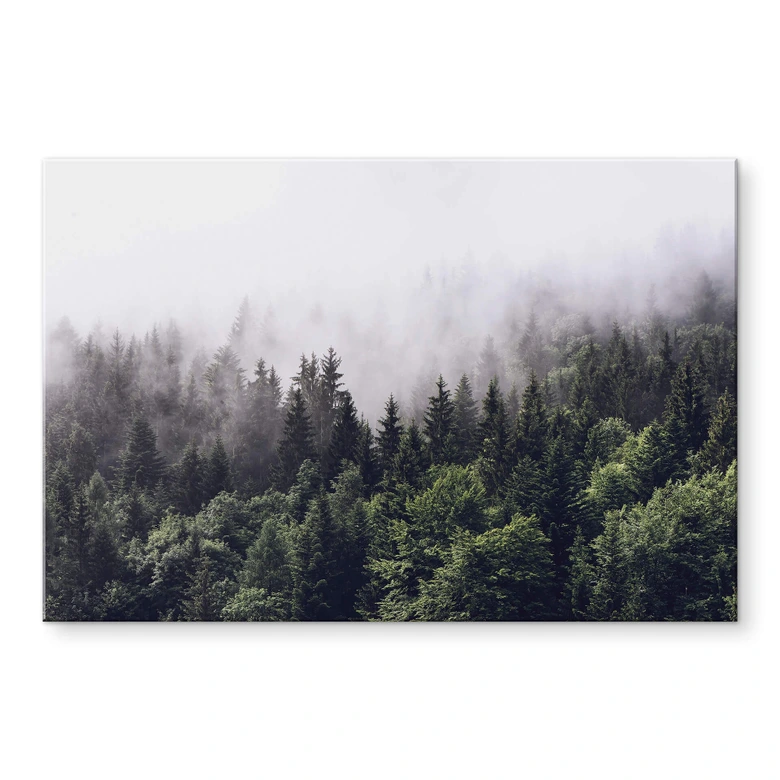 Tableau en verre acrylique Forêt dans la brume 