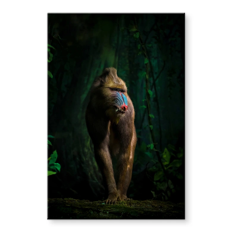 Tableau sur verre acrylique Yunta - Dans la jungle 