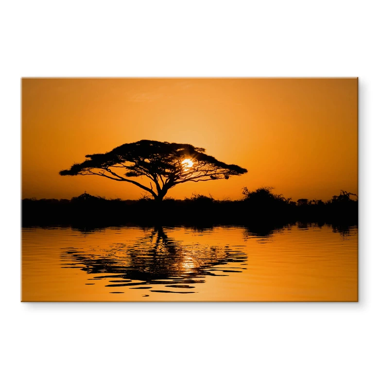Acrylglasbild Afrika 
