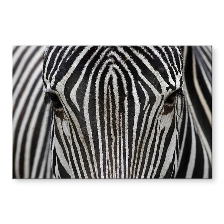 Acrylglasbild Blicke 