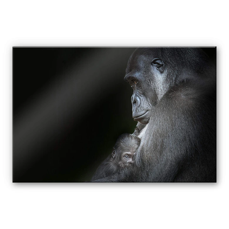 Acrylglasbild Cuadrado - Tenderness 