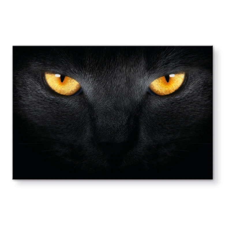 Acrylglasbild Katzenaugen 
