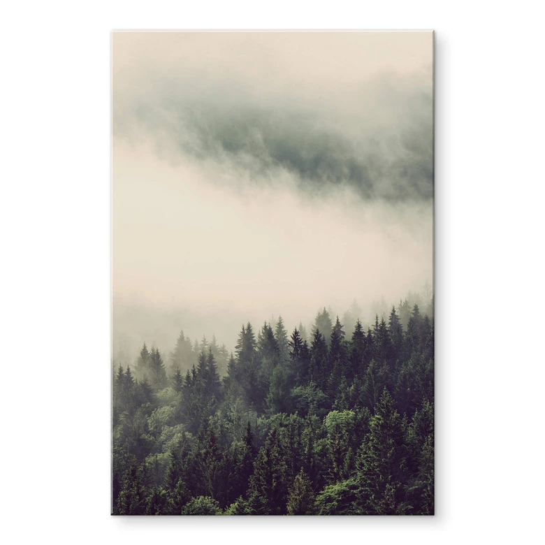 Tableau en verre acrylique Brouillard dans la forêt 02 