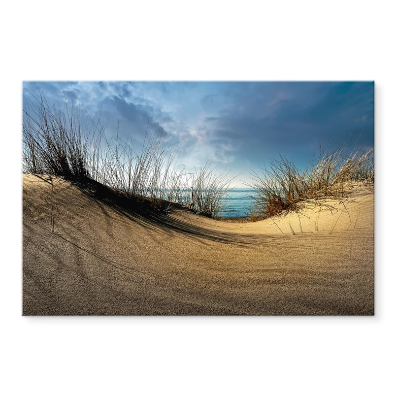 Acrylglasbild Schuurmans - Stranddünen 