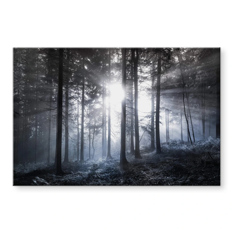 Acrylglasbild Sonnenstrahlen im Wald Blau 