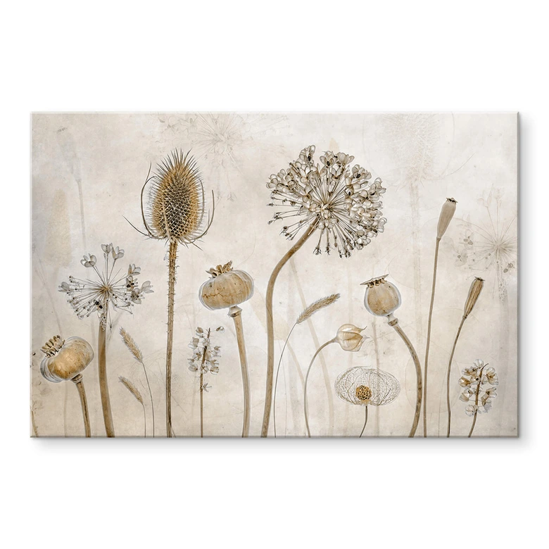 Tableau sur verre acrylique Disher - fleurs séchées 