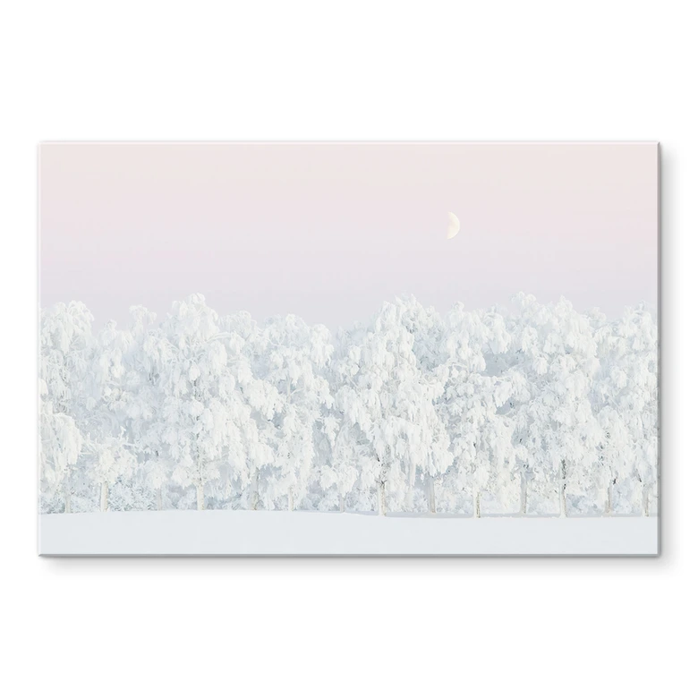 Tableau en verre acrylique Forêt d'hiver enneigée avec lune - EMELIEmaria 