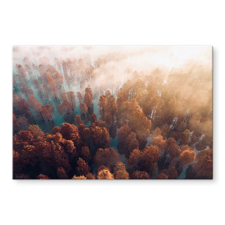Tableau sur verre acrylique Forêt d'automne dans le brouillard - Ioricon 