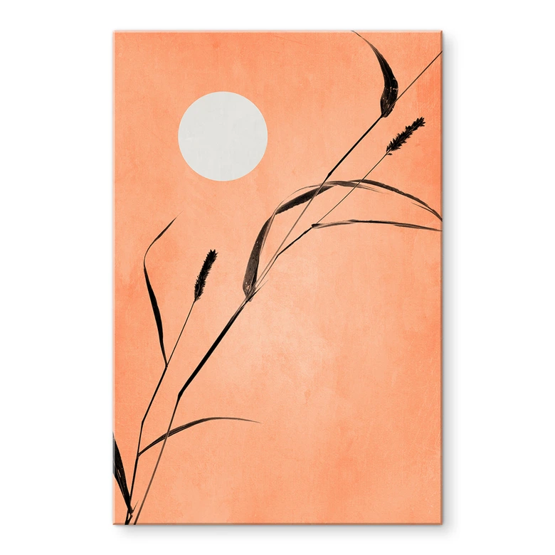 Akrylbillede Siv i ferskenfarvet solskin - Kubistika 