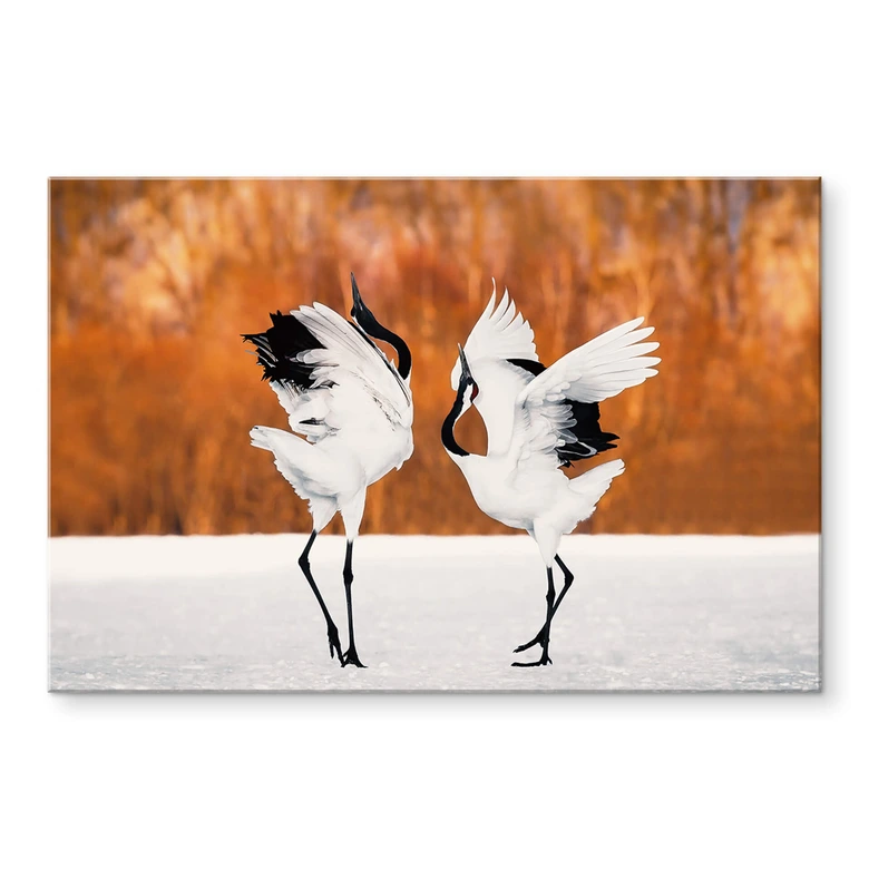 Tableau en verre acrylique Mei - Danse des grues 
