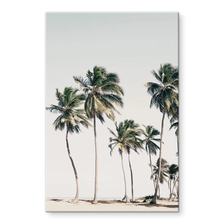 Acrylglasbild Tropische Palmen am Strand - Sisi & Seb 